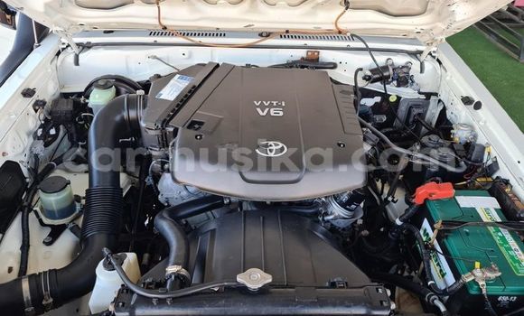 Tenga Tsaru Toyota Land Cruiser Chena Mota in Beitbridge in Matabeleland South Tenga Tsaru Toyota Land Cruiser Chena Mota in Beitbridge in Matabeleland South