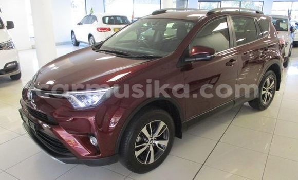 Buy Used Toyota RAV4 Other Car in Beitbridge in Matabeleland South Buy Used Toyota RAV4 Other Car in Beitbridge in Matabeleland South