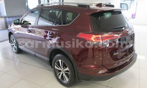 Tenga Tsaru Toyota RAV4 Zvimwe Mota in Beitbridge in Matabeleland South Tenga Tsaru Toyota RAV4 Zvimwe Mota in Beitbridge in Matabeleland South