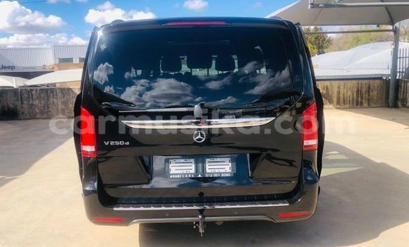 Acheter Occasion Utilitaire Mercedes‒Benz Vito Noir à Beitbridge, Matabeleland South Acheter Occasion Utilitaire Mercedes‒Benz Vito Noir à Beitbridge, Matabeleland South