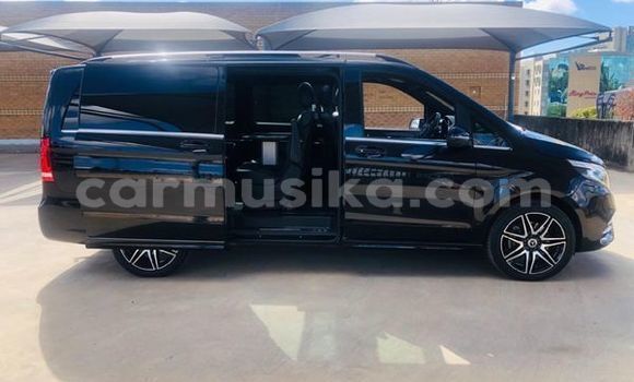 Acheter Occasion Utilitaire Mercedes‒Benz Vito Noir à Beitbridge, Matabeleland South Acheter Occasion Utilitaire Mercedes‒Benz Vito Noir à Beitbridge, Matabeleland South