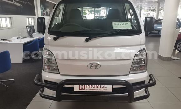 Buy Used Hyundai H200 White Truck in Beitbridge in Matabeleland South Buy Used Hyundai H200 White Truck in Beitbridge in Matabeleland South