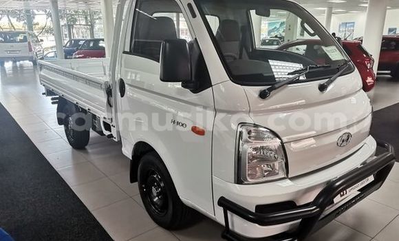Buy Used Hyundai H200 White Truck in Beitbridge in Matabeleland South Buy Used Hyundai H200 White Truck in Beitbridge in Matabeleland South