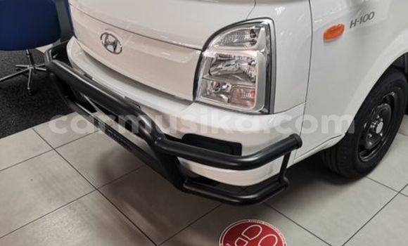 Buy Used Hyundai H200 White Truck in Beitbridge in Matabeleland South Buy Used Hyundai H200 White Truck in Beitbridge in Matabeleland South