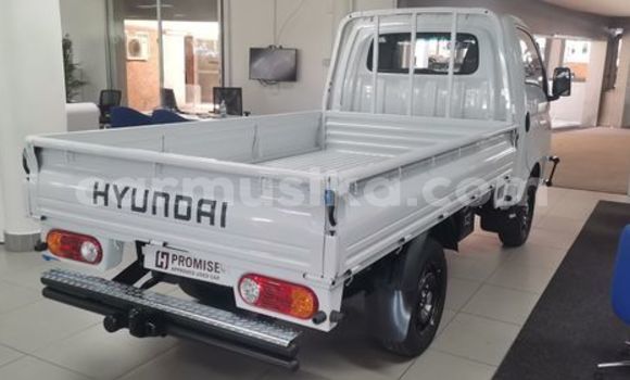 Buy Used Hyundai H200 White Truck in Beitbridge in Matabeleland South Buy Used Hyundai H200 White Truck in Beitbridge in Matabeleland South