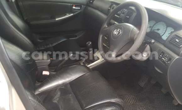 Tenga Tsaru Toyota Runx Sirivha Mota in Beitbridge in Matabeleland South Tenga Tsaru Toyota Runx Sirivha Mota in Beitbridge in Matabeleland South