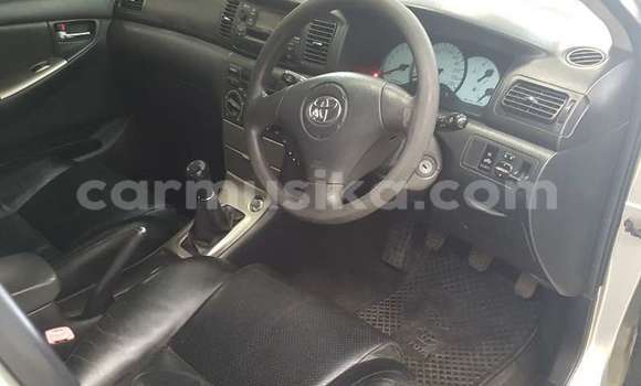 Tenga Tsaru Toyota Runx Sirivha Mota in Beitbridge in Matabeleland South Tenga Tsaru Toyota Runx Sirivha Mota in Beitbridge in Matabeleland South