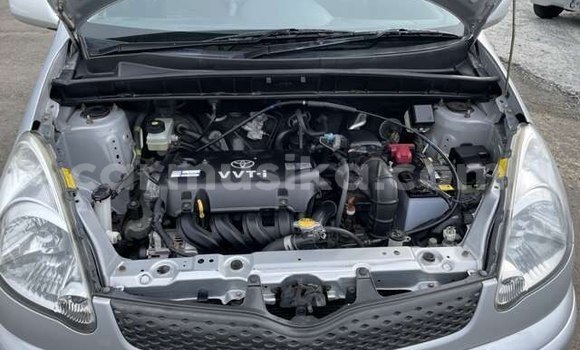 Buy Used Toyota FunCargo Silver Car in Beitbridge in Matabeleland South Buy Used Toyota FunCargo Silver Car in Beitbridge in Matabeleland South