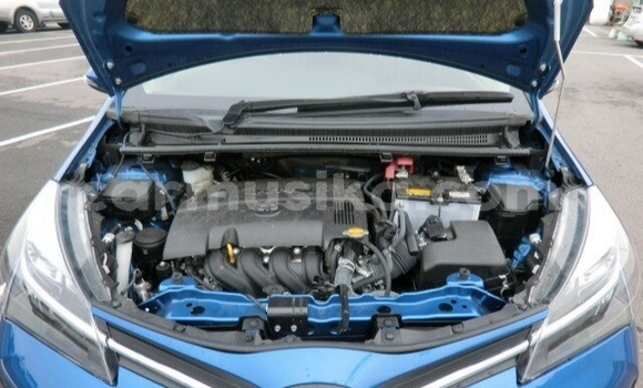 Buy Used Toyota Vitz Blue Car in Beitbridge in Matabeleland South Buy Used Toyota Vitz Blue Car in Beitbridge in Matabeleland South