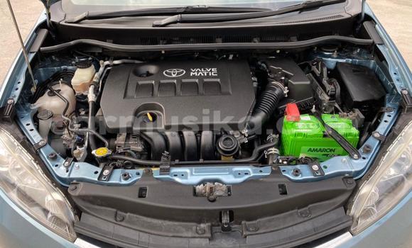 Tenga Tsaru Toyota Wish Bhuruu Mota in Beitbridge in Matabeleland South Tenga Tsaru Toyota Wish Bhuruu Mota in Beitbridge in Matabeleland South