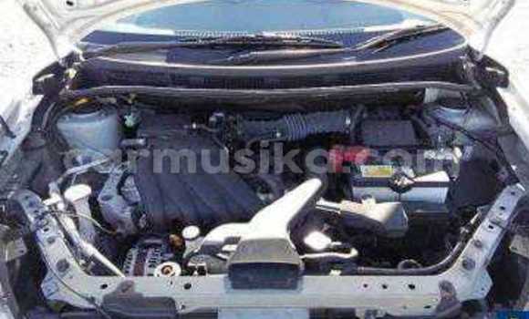 Tenga Tsaru Nissan AD Chena Mota in Beitbridge in Matabeleland South Tenga Tsaru Nissan AD Chena Mota in Beitbridge in Matabeleland South