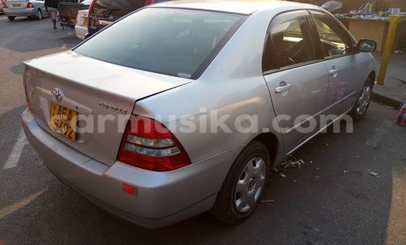 Acheter Occasion Voiture Toyota Corolla Gris à Alexandra Park, Harare Acheter Occasion Voiture Toyota Corolla Gris à Alexandra Park, Harare
