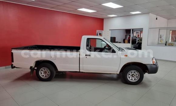 Buy Used Nissan NP 300 White Car in Beitbridge in Matabeleland South