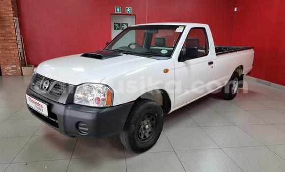 Acheter Occasion Voiture Nissan NP 300 Blanc à Beitbridge, Matabeleland South Acheter Occasion Voiture Nissan NP 300 Blanc à Beitbridge, Matabeleland South