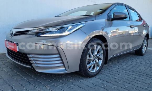 Buy Used Toyota Corolla Silver Car in Beitbridge in Matabeleland South