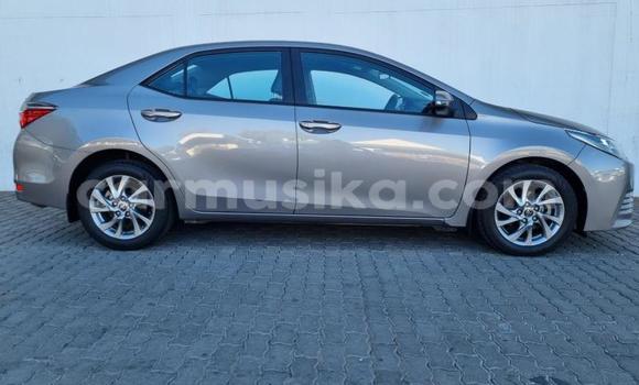 Tenga Tsaru Toyota Corolla Sirivha Mota in Beitbridge in Matabeleland South Tenga Tsaru Toyota Corolla Sirivha Mota in Beitbridge in Matabeleland South