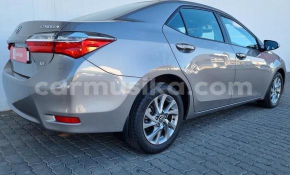 Tenga Tsaru Toyota Corolla Sirivha Mota in Beitbridge in Matabeleland South Tenga Tsaru Toyota Corolla Sirivha Mota in Beitbridge in Matabeleland South