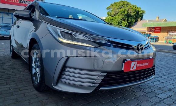 Tenga Tsaru Toyota Corolla Sirivha Mota in Beitbridge in Matabeleland South Tenga Tsaru Toyota Corolla Sirivha Mota in Beitbridge in Matabeleland South