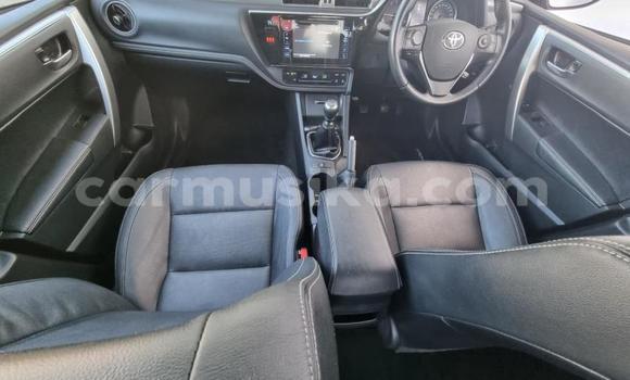 Tenga Tsaru Toyota Corolla Sirivha Mota in Beitbridge in Matabeleland South Tenga Tsaru Toyota Corolla Sirivha Mota in Beitbridge in Matabeleland South