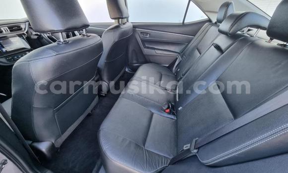 Tenga Tsaru Toyota Corolla Sirivha Mota in Beitbridge in Matabeleland South Tenga Tsaru Toyota Corolla Sirivha Mota in Beitbridge in Matabeleland South