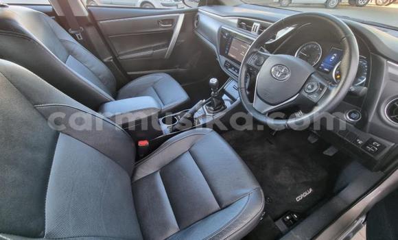 Tenga Tsaru Toyota Corolla Sirivha Mota in Beitbridge in Matabeleland South Tenga Tsaru Toyota Corolla Sirivha Mota in Beitbridge in Matabeleland South