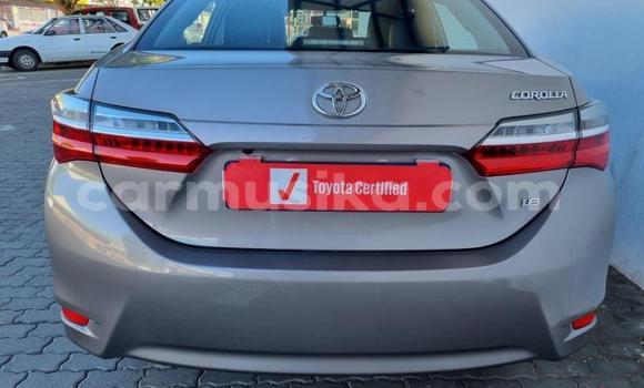 Tenga Tsaru Toyota Corolla Sirivha Mota in Beitbridge in Matabeleland South Tenga Tsaru Toyota Corolla Sirivha Mota in Beitbridge in Matabeleland South