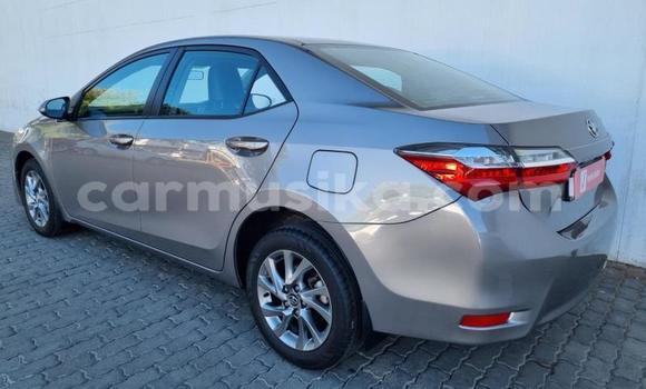 Tenga Tsaru Toyota Corolla Sirivha Mota in Beitbridge in Matabeleland South Tenga Tsaru Toyota Corolla Sirivha Mota in Beitbridge in Matabeleland South