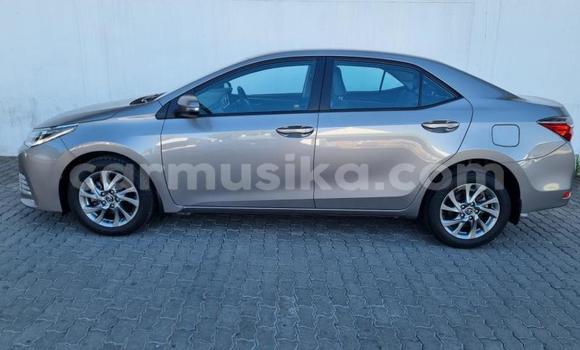 Tenga Tsaru Toyota Corolla Sirivha Mota in Beitbridge in Matabeleland South Tenga Tsaru Toyota Corolla Sirivha Mota in Beitbridge in Matabeleland South