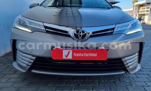 Tenga Tsaru Toyota Corolla Sirivha Mota in Beitbridge in Matabeleland South Tenga Tsaru Toyota Corolla Sirivha Mota in Beitbridge in Matabeleland South