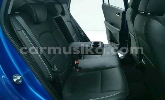 Buy Used Hyundai Creta Blue Car in Bulawayo in Bulawayo Buy Used Hyundai Creta Blue Car in Bulawayo in Bulawayo