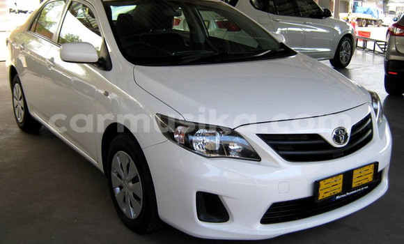 Tenga Tsaru Toyota Corolla Chena Mota in Beitbridge in Matabeleland South