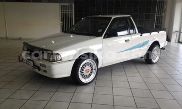 Tenga Tsaru Ford Pickup Chena Mota in Beitbridge in Matabeleland South Tenga Tsaru Ford Pickup Chena Mota in Beitbridge in Matabeleland South