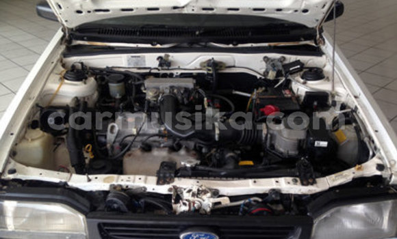 Tenga Tsaru Ford Pickup Chena Mota in Beitbridge in Matabeleland South Tenga Tsaru Ford Pickup Chena Mota in Beitbridge in Matabeleland South