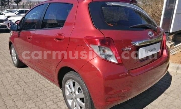 Buy Used Toyota Yaris Other Car in Beitbridge in Matabeleland South Buy Used Toyota Yaris Other Car in Beitbridge in Matabeleland South
