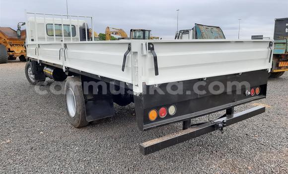 Buy Used Hino 300 Series White Truck in Beitbridge in Matabeleland South Buy Used Hino 300 Series White Truck in Beitbridge in Matabeleland South