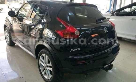 Buy Used Nissan Juke Black Car in Beitbridge in Matabeleland South Buy Used Nissan Juke Black Car in Beitbridge in Matabeleland South