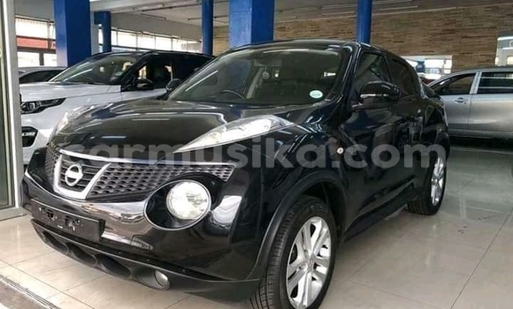 Buy Used Nissan Juke Black Car in Beitbridge in Matabeleland South Buy Used Nissan Juke Black Car in Beitbridge in Matabeleland South