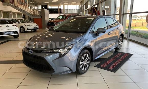Nunua Ilio tumika Toyota Corolla Nyingine Gari ndani ya Beitbridge nchini Matabeleland Kusini Nunua Ilio tumika Toyota Corolla Nyingine Gari ndani ya Beitbridge nchini Matabeleland Kusini
