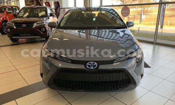 Nunua Ilio tumika Toyota Corolla Nyingine Gari ndani ya Beitbridge nchini Matabeleland Kusini Nunua Ilio tumika Toyota Corolla Nyingine Gari ndani ya Beitbridge nchini Matabeleland Kusini