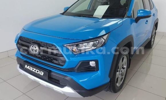 Tenga Tsaru Toyota RAV4 Bhuruu Mota in Beitbridge in Matabeleland South