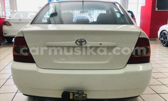 Acheter Occasion Voiture Toyota Corolla Blanc à Beitbridge, Matabeleland South Acheter Occasion Voiture Toyota Corolla Blanc à Beitbridge, Matabeleland South