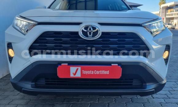 Buy Used Toyota RAV4 White Car in Beitbridge in Matabeleland South