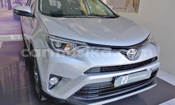 Nunua Ilio tumika Toyota RAV4 Fedha Gari ndani ya Beitbridge nchini Matabeleland Kusini