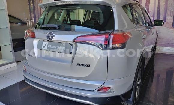 Acheter Occasion Voiture Toyota RAV4 Gris à Beitbridge, Matabeleland South Acheter Occasion Voiture Toyota RAV4 Gris à Beitbridge, Matabeleland South