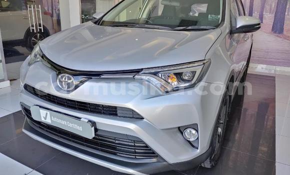 Acheter Occasion Voiture Toyota RAV4 Gris à Beitbridge, Matabeleland South Acheter Occasion Voiture Toyota RAV4 Gris à Beitbridge, Matabeleland South