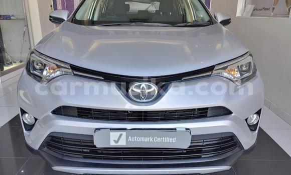 Acheter Occasion Voiture Toyota RAV4 Gris à Beitbridge, Matabeleland South Acheter Occasion Voiture Toyota RAV4 Gris à Beitbridge, Matabeleland South