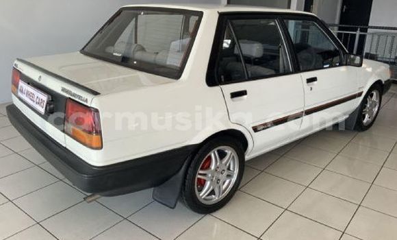 Tenga Tsaru Toyota Corolla Chena Mota in Beitbridge in Matabeleland South Tenga Tsaru Toyota Corolla Chena Mota in Beitbridge in Matabeleland South