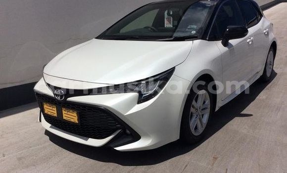 Buy Used Toyota Corolla Other Car in Beitbridge in Matabeleland South