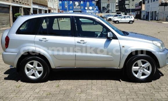 Buy Used Toyota RAV4 Silver Car in Beitbridge in Matabeleland South Buy Used Toyota RAV4 Silver Car in Beitbridge in Matabeleland South