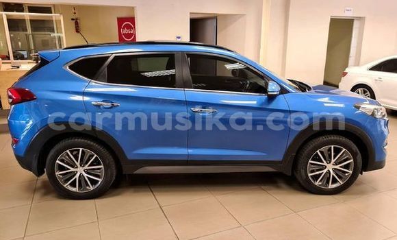 Tenga Tsaru Hyundai Tucson Bhuruu Mota in Beitbridge in Matabeleland South